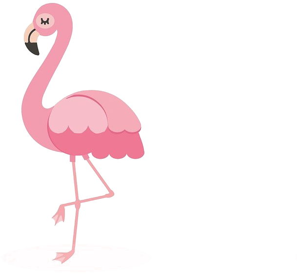 Flamingo Png Pic - Flamingo Png Clipart (609x561), Png Download