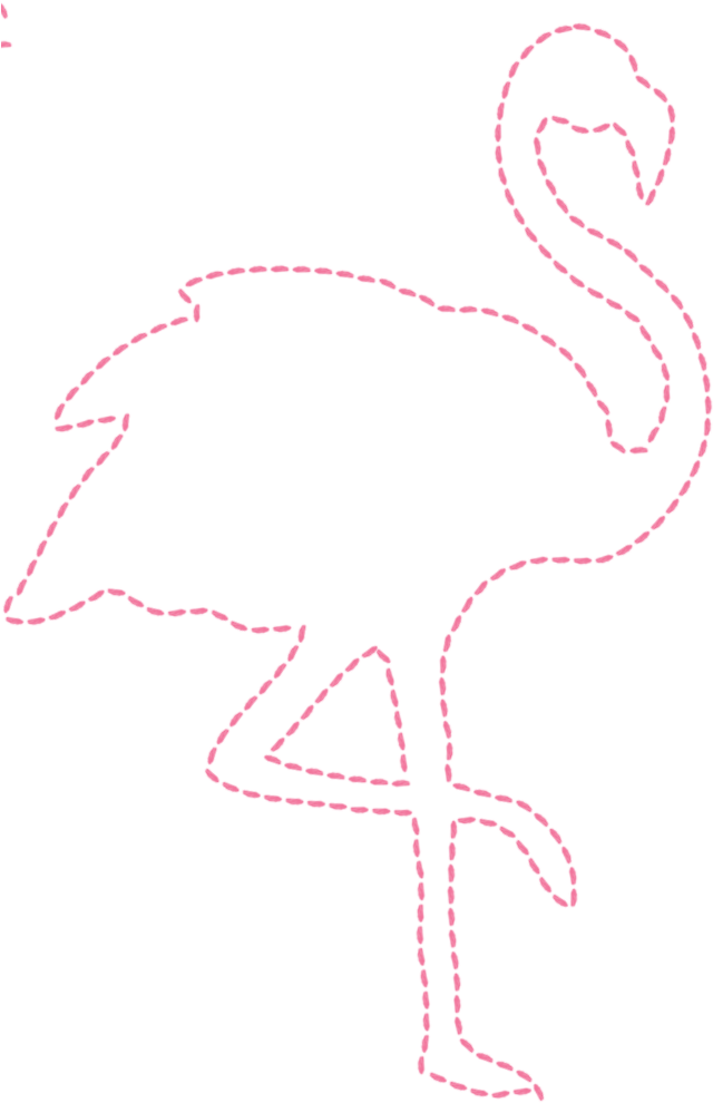 Flamingo 674 × 1 013 Pixels - Greater Flamingo Clipart (640x990), Png Download