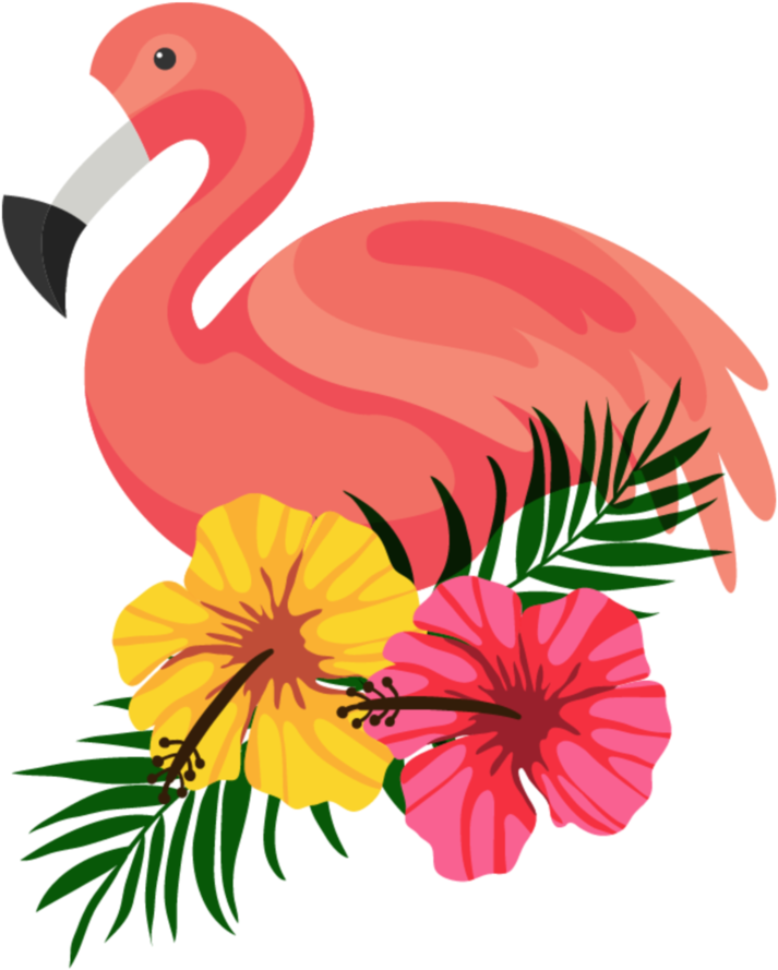 Flamingo By Hanjorafael - Clipart Flamingo Png Transparent Png (713x889), Png Download