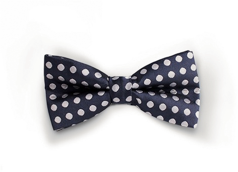 Essential Blue Dotted - Polka Dot Clipart (580x800), Png Download