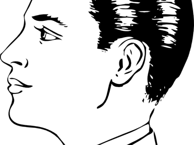 Hairstyles Clipart Male Head - Man Side Face Drawing - Png Download (640x480), Png Download