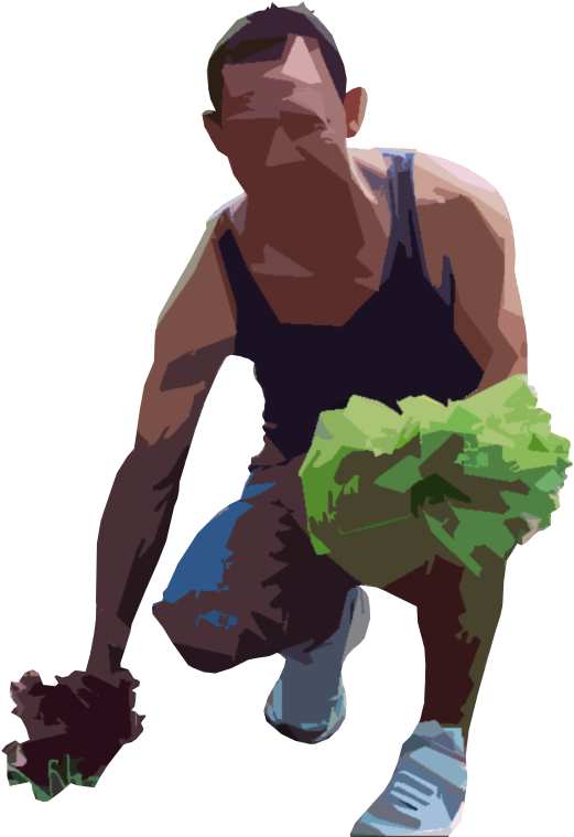 Human Png - People Plants Png Clipart (631x784), Png Download