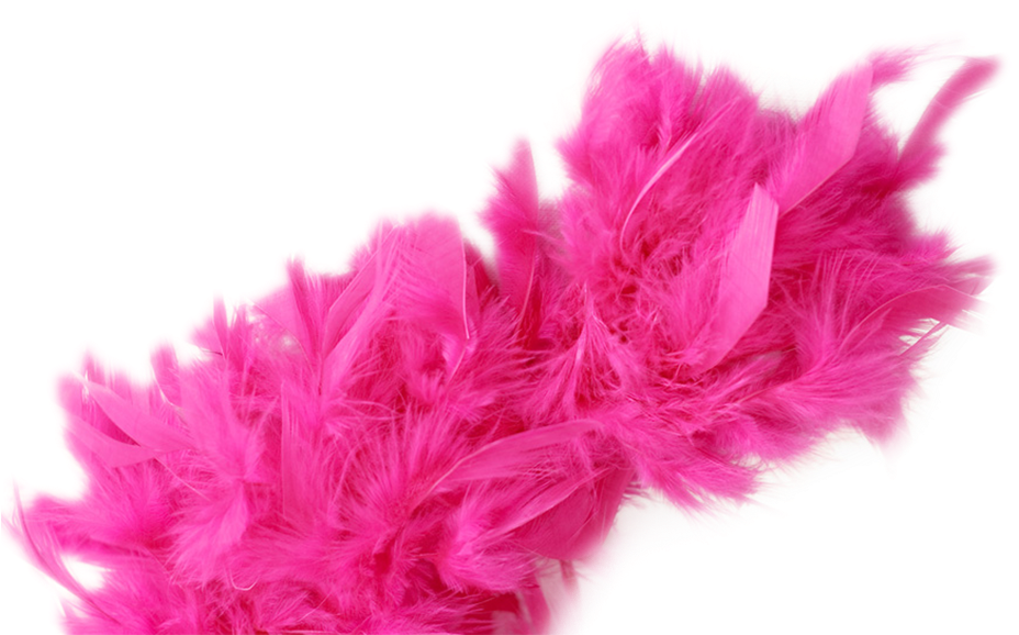 Comments - Pink Boa Feathers Png Clipart (960x640), Png Download