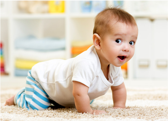 Carpet Cleaning Davenport Fl, Carpet Cleaning Davenport - Infant Physical Development Clipart (798x391), Png Download