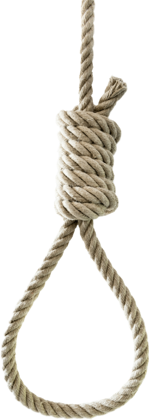 Soga De Suicidio , Png Download - Suicide Rope Knot Png Clipart (480x1346), Png Download