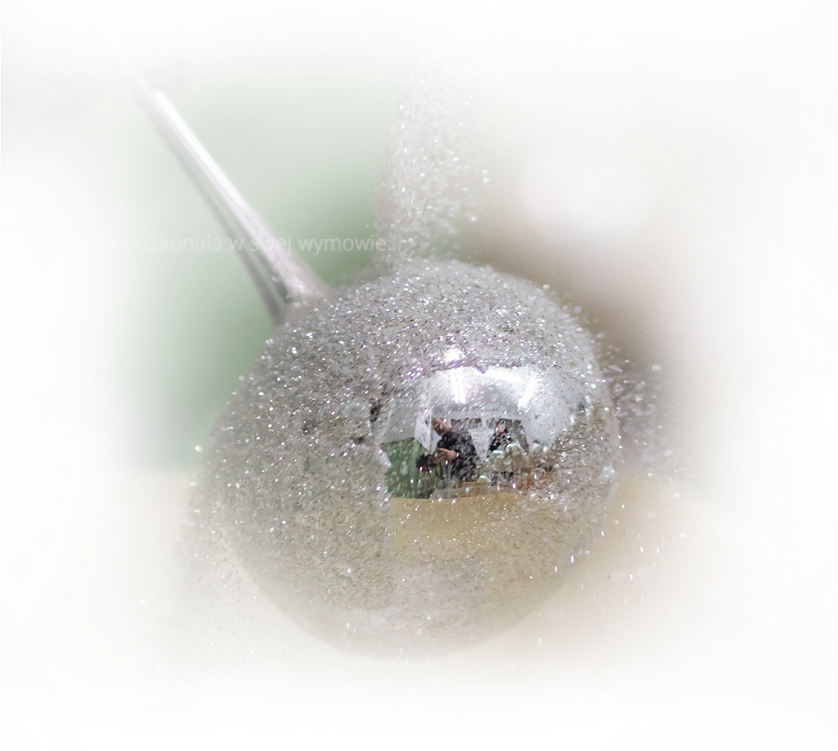 Slide4 - Macro Photography Clipart (1165x750), Png Download