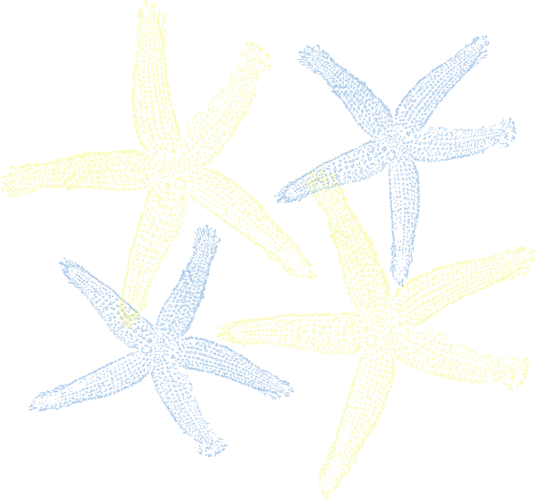 Fish Clip Art - Png Download (600x559), Png Download