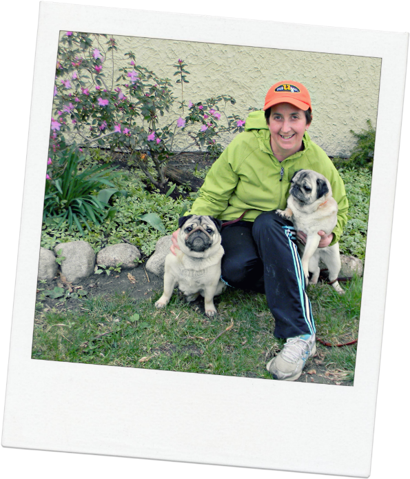 Oak Park Pet Sitter Gretchen And Her Pugs - Pug Clipart (600x701), Png Download