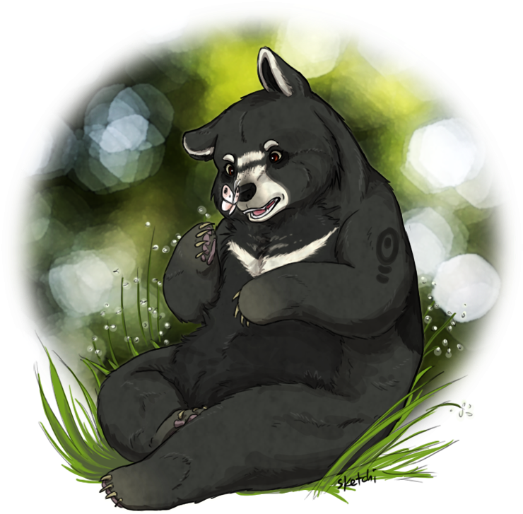 Baloo Transparent Png - Illustration Clipart (800x752), Png Download