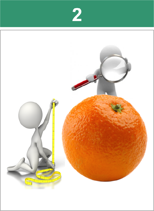 2-600x822 - Blood Orange Clipart (600x822), Png Download