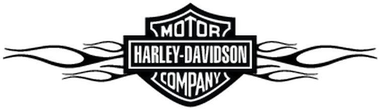 Harley Davidson Flaming Decal - Harley Davidson Clipart (800x800), Png Download