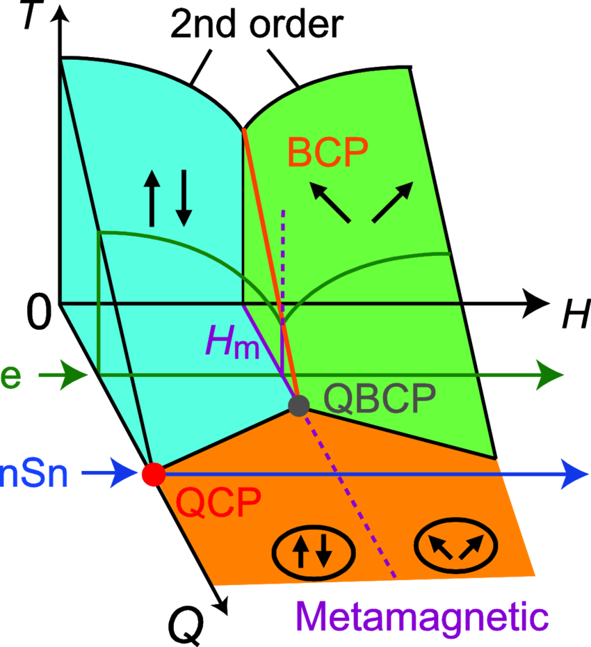 Possible Scenario For The Metamagnetic Crossover In - Publicidad Gandhi Peña Nieto Clipart (850x930), Png Download