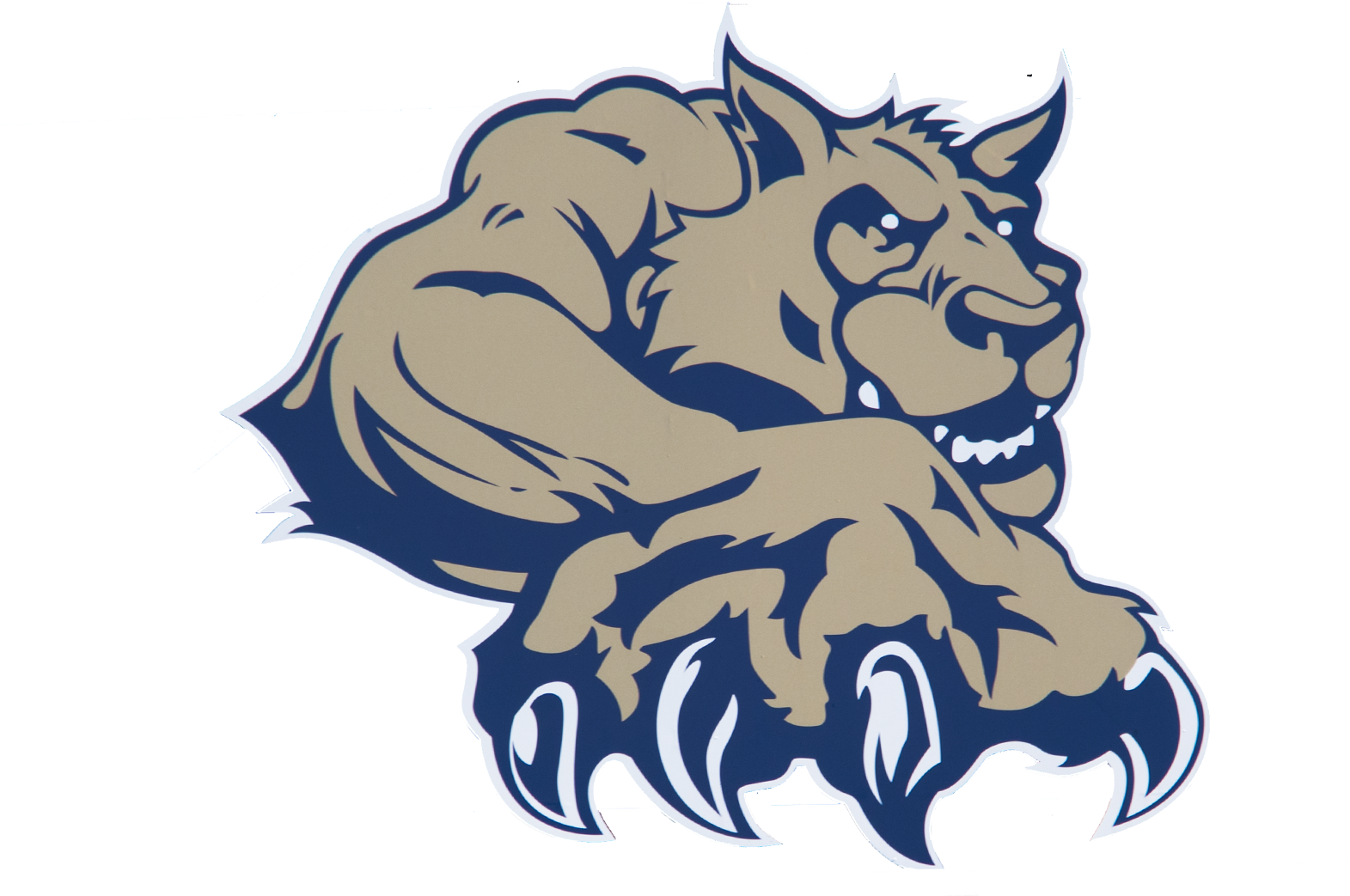 Lakeview High School Wildcats Clipart (1800x1200), Png Download