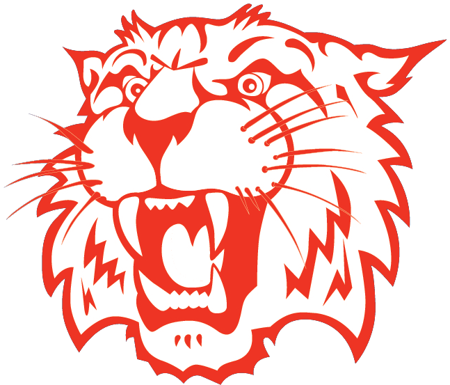 School Logo - Head Wildcat Drawing Clipart (689x568), Png Download