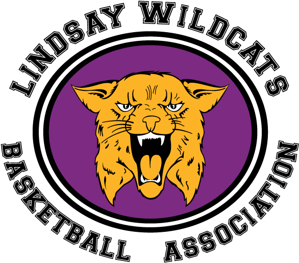 Lindsay Wildcats - Oregon Ducks Men's Basketball Clipart (606x682), Png Download