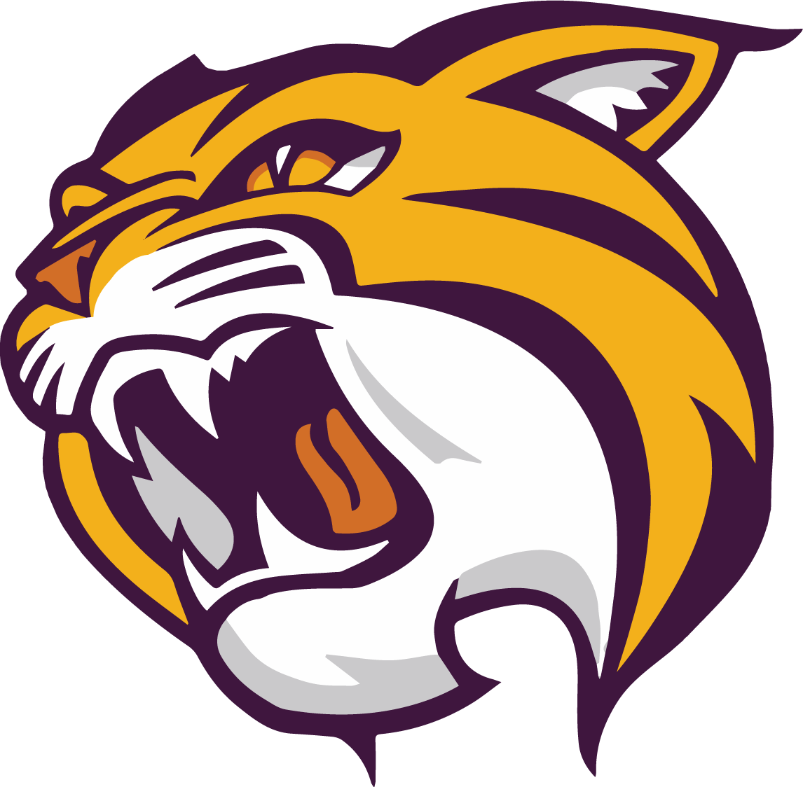 Wild Rose School District Home Of The Wildcats - Wild Rose School District Clipart (1146x1124), Png Download