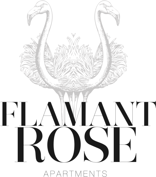 Logo Flamant Rose - Swan Clipart (600x800), Png Download
