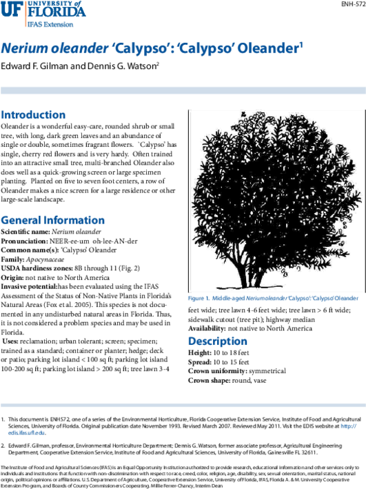 Pdf - University Of Florida Clipart (600x776), Png Download