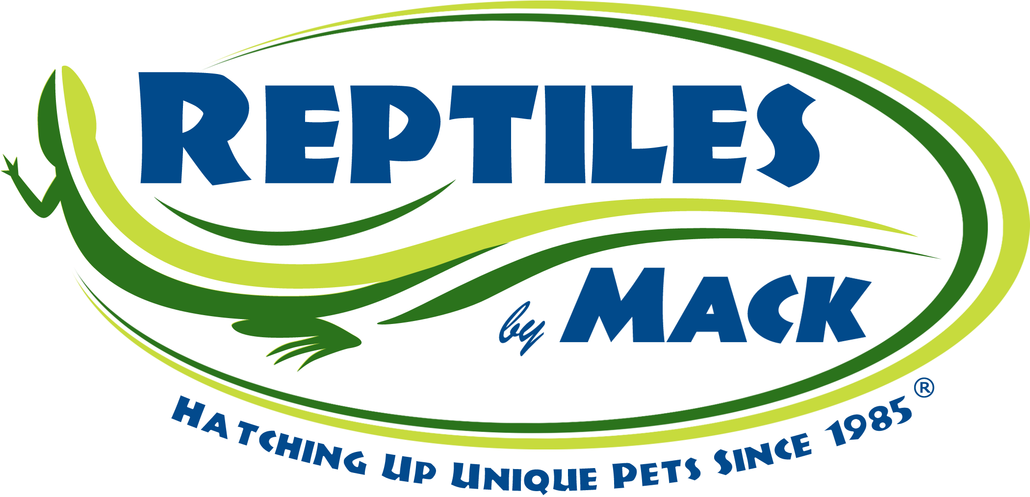 Reptiles By Mack Clipart (2120x1048), Png Download