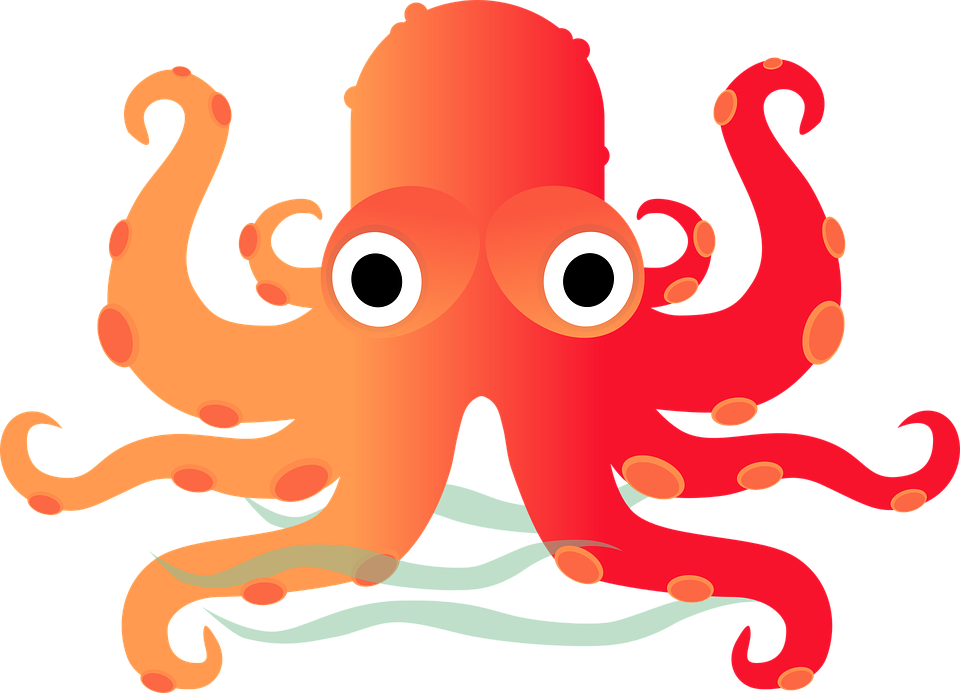Octopus Clipart Invertebrate - หมึก การ์ตูน Png Transparent Png (960x693), Png Download