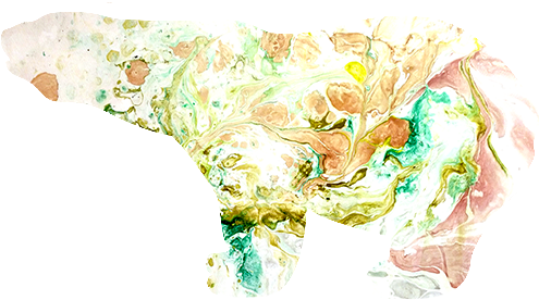 Bull Clipart (587x555), Png Download