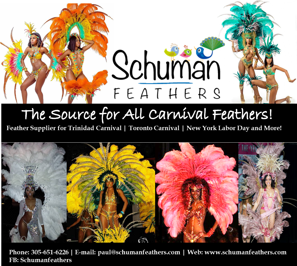 When We Are Talking Feathers, Careful Selection Must - Carnival Clipart (1144x1030), Png Download
