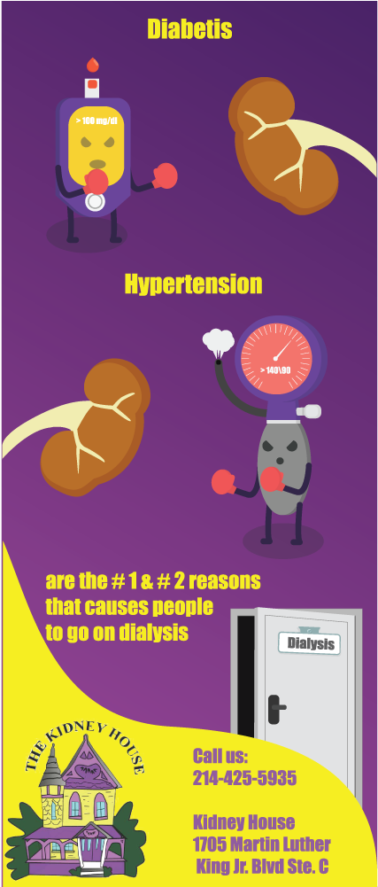 Colorful, Elegant, House Graphic Design For The Kidney - Illustration Clipart (1200x1000), Png Download