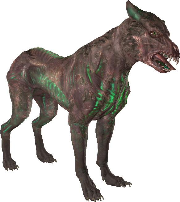 Alpha Glowing Mongrel - Dog Catches Something Clipart (583x654), Png Download