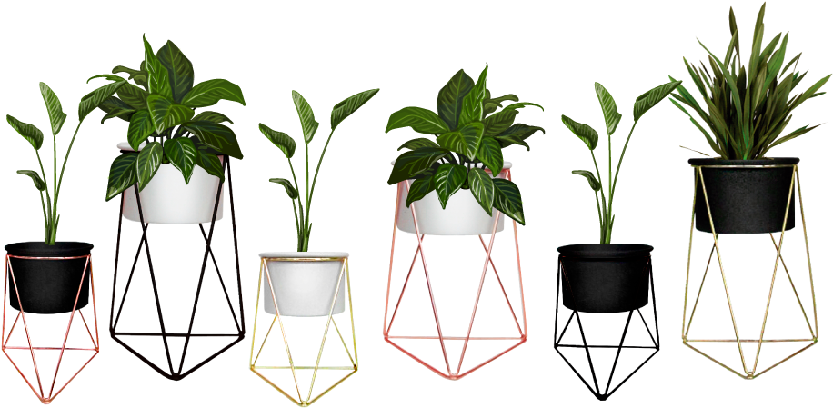Houseplant Clipart (1156x509), Png Download