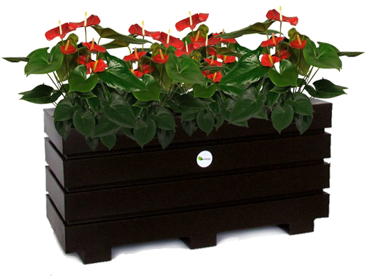 $99,900 - Flowerpot Clipart (1000x1000), Png Download