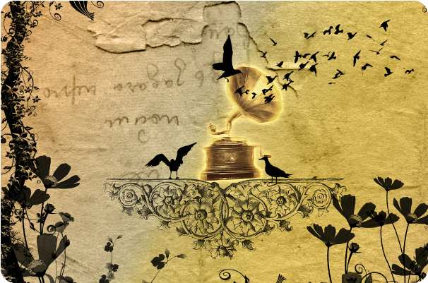 Siamese Clipart (800x800), Png Download