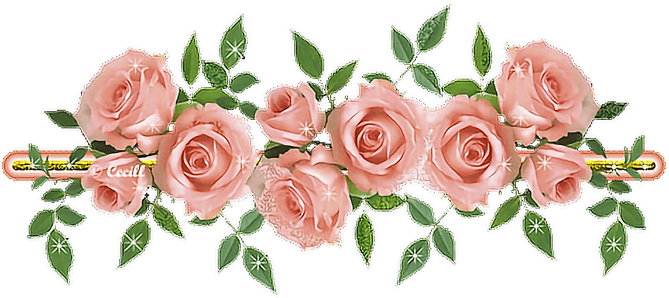 #flower #flores #flowers #flores #palo #stick #corona - Transparent Flower Border Gif Clipart (950x442), Png Download