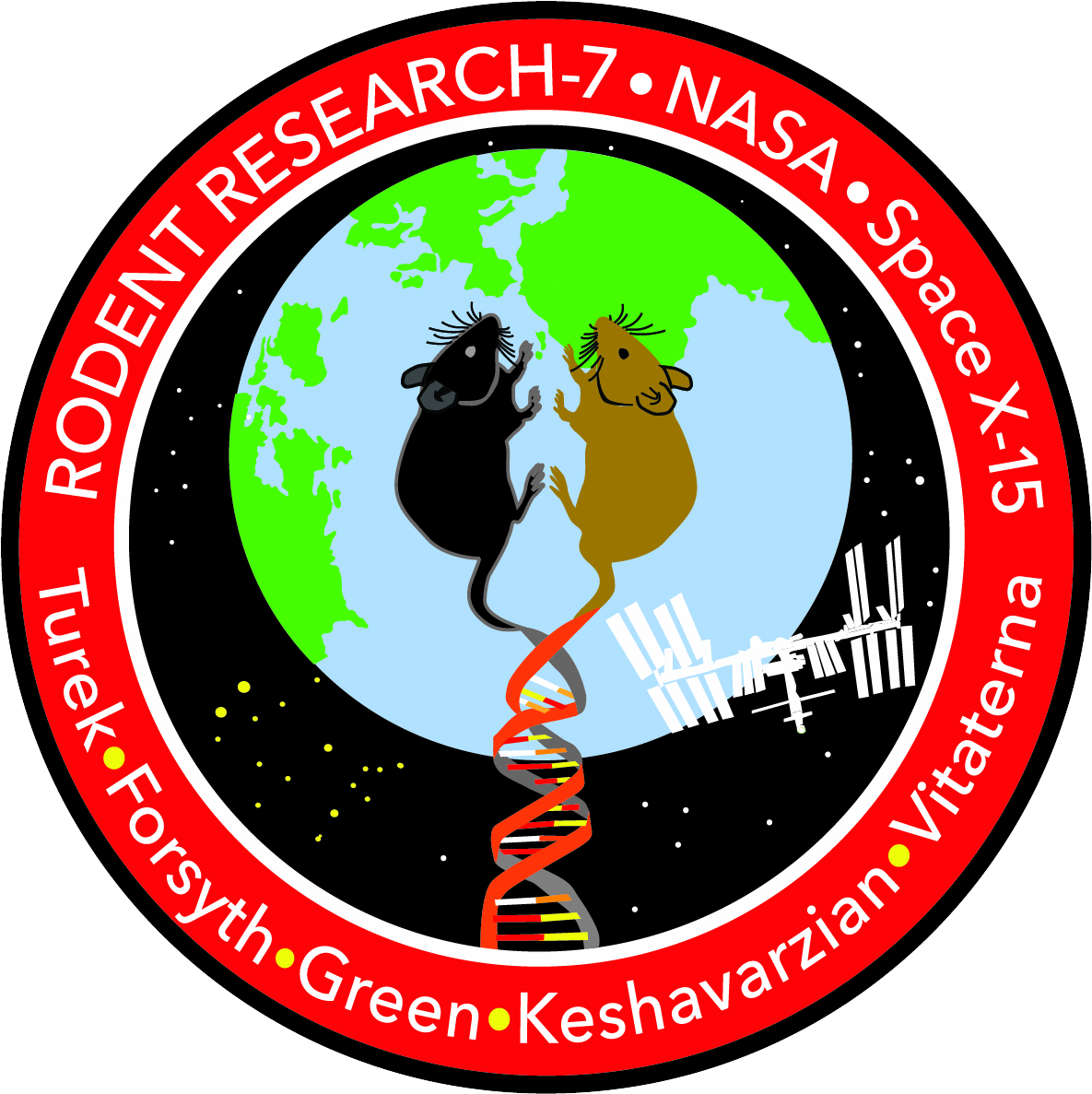 Rodent Research-7 Mission Patch - Rodent Research 6 Logo Clipart (1194x1196), Png Download