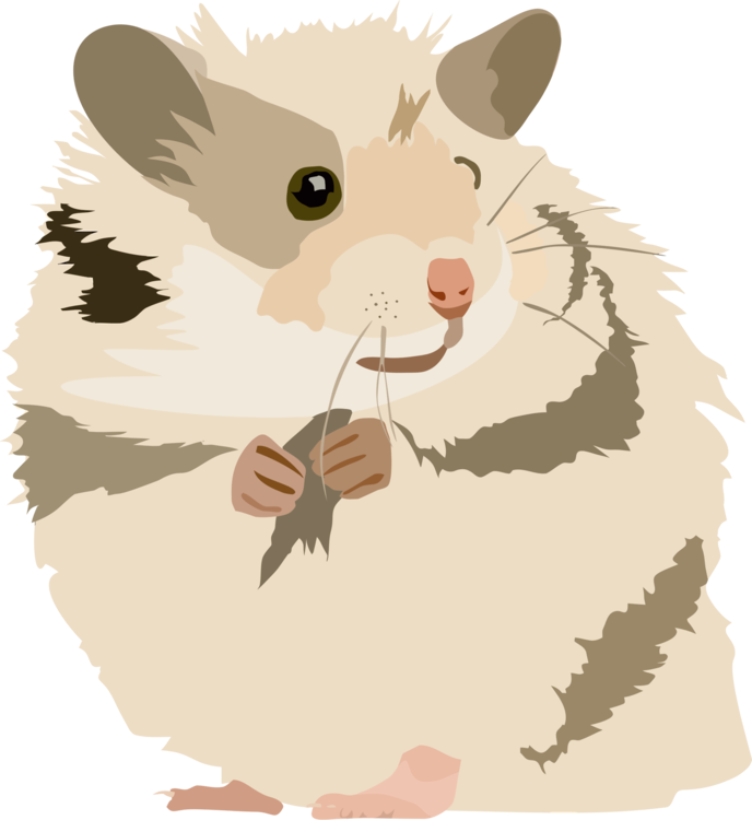 Gerbil Golden Hamster Rodent Mouse - Hamster Png Clipart Transparent Png (688x750), Png Download