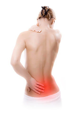 Lumbalgia - New York Spine And Wellness Clipart (640x550), Png Download