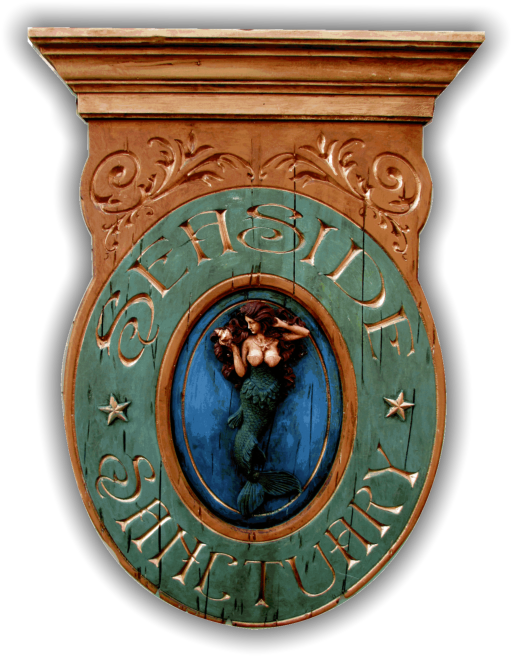 00 Interior Or Exterior* Tropical Vintage Beach House - Emblem Clipart (511x656), Png Download