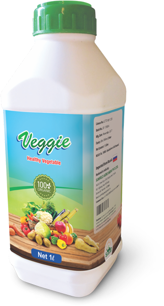 Veggie Clipart (600x600), Png Download