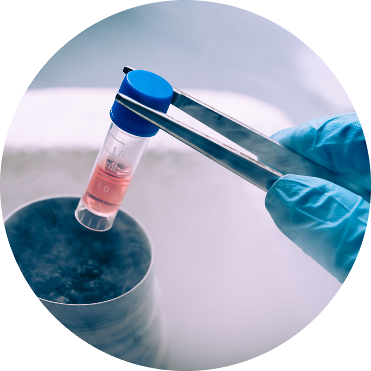 Egg Freezing - Stem Cell Research Hd Clipart (750x750), Png Download