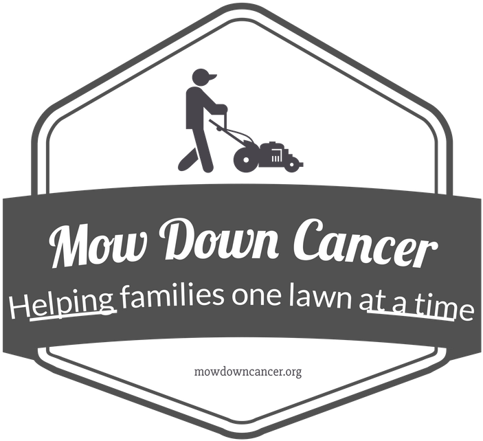 Photography Clipart (800x739), Png Download