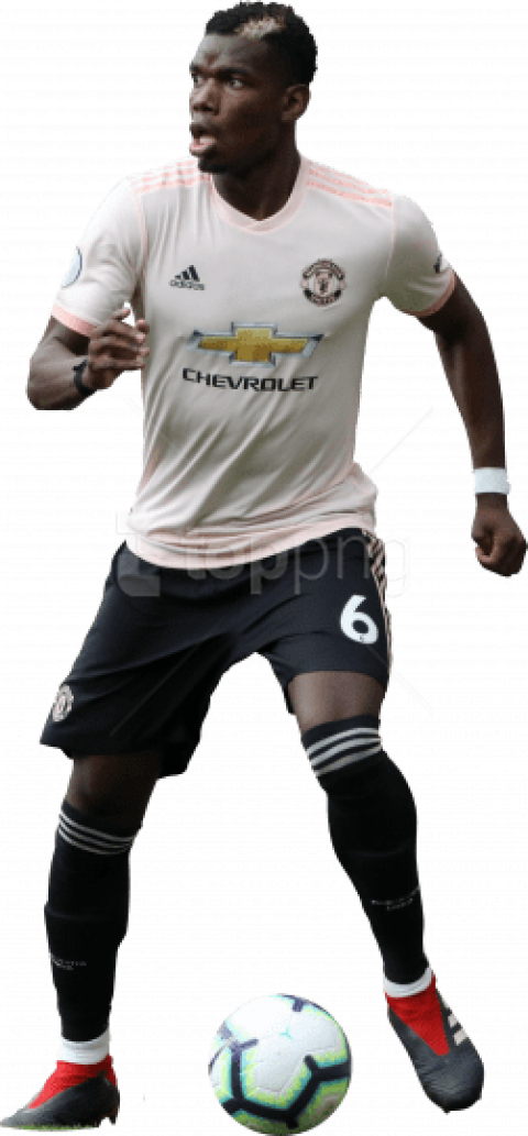 Download Paul Pogba Png Images Background - Rugby Player Clipart (480x1033), Png Download