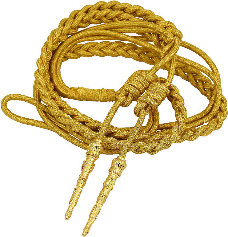 Circle Clipart (800x800), Png Download