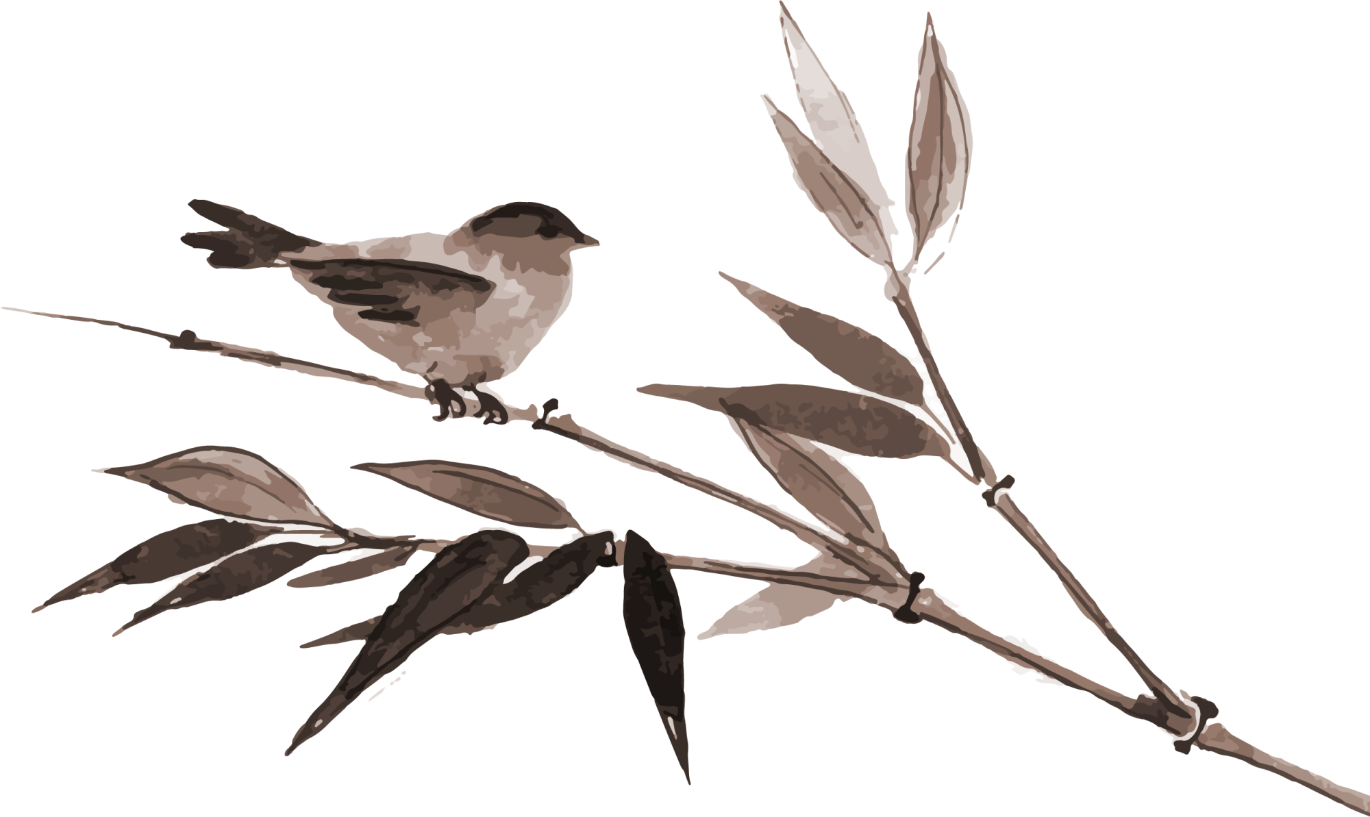 Bamboo Wash Painting Brown Bird Transprent Png - Japanese Cherry Blossom Vector Painting Clipart (2000x1193), Png Download