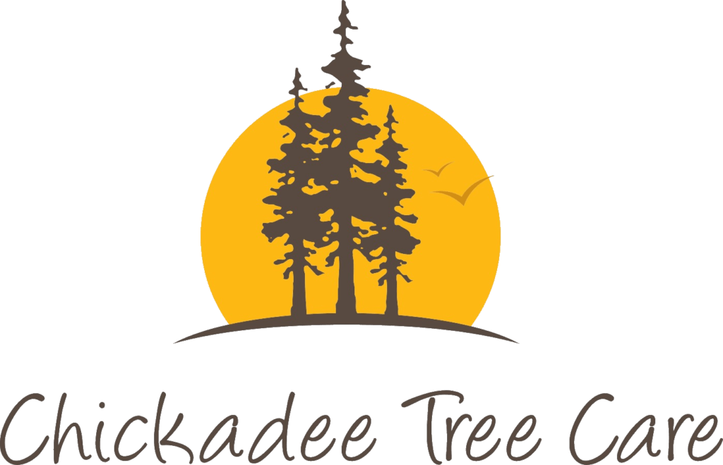 Chickadee Tree Care Logo - Alta Villa El Naranjo Clipart (1024x659), Png Download