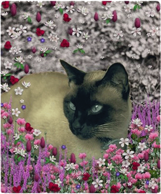 Stella Chocolate Point Siamese Cat In Flowers I Fleece - Cat Clipart (699x699), Png Download