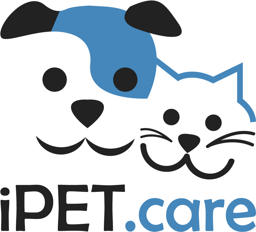 Clip Art - Png Download (1000x1000), Png Download