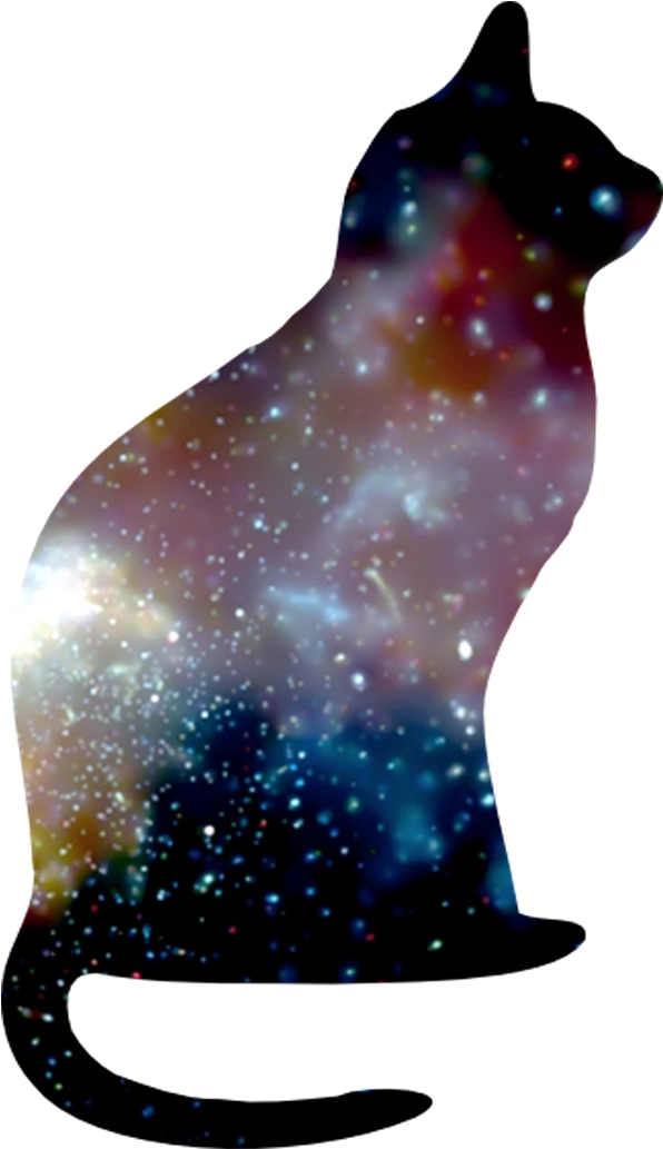 Cat In Space - Cat In Space Png Clipart (1316x1032), Png Download