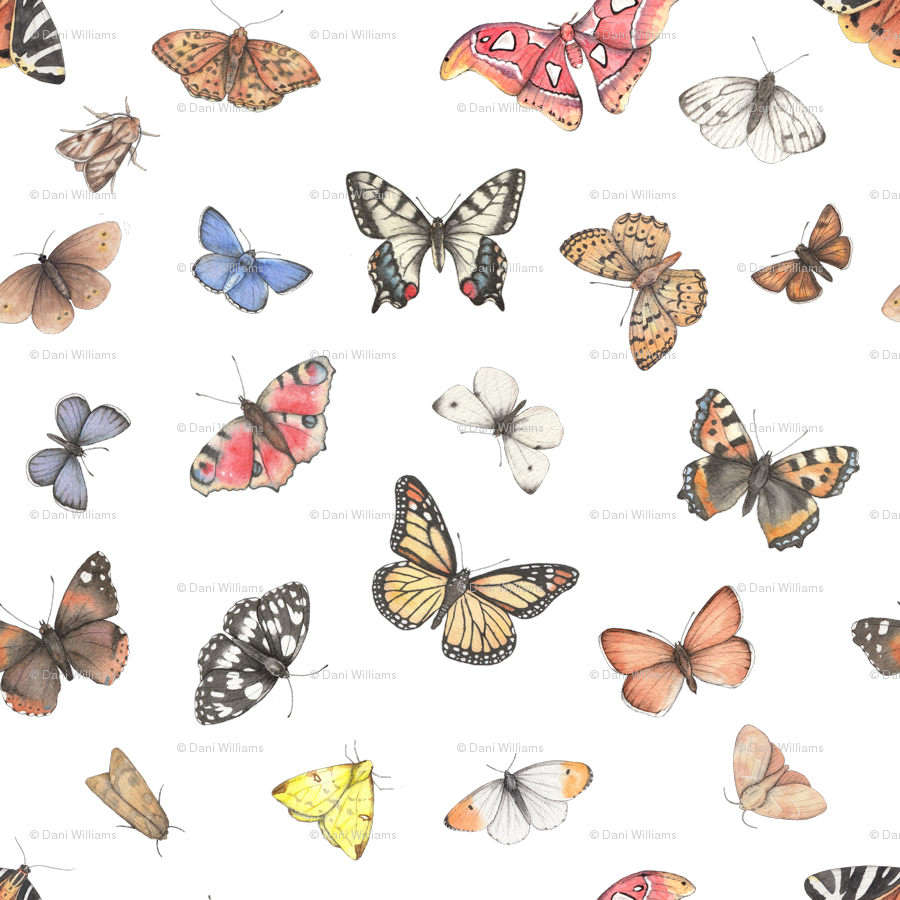 Small Print Wallpaper - Colourful Butterflies Png Clipart (900x900), Png Download