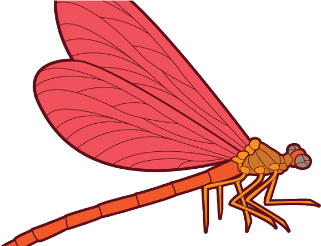 Dragonfly Clipart (640x480), Png Download