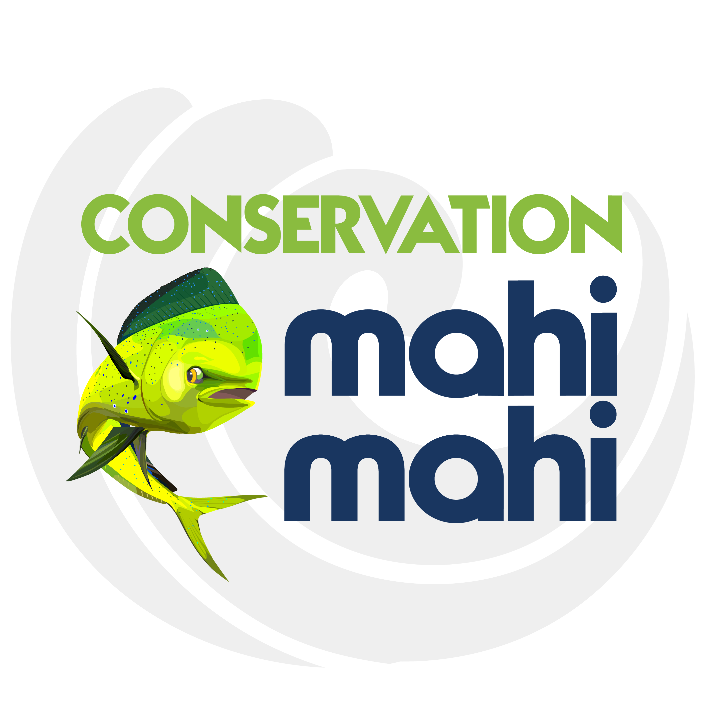 Circle Clipart (2818x2809), Png Download