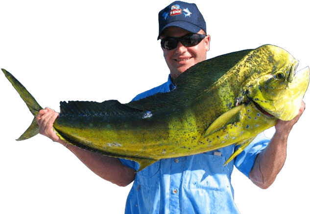 1 - Catfish Clipart (960x565), Png Download